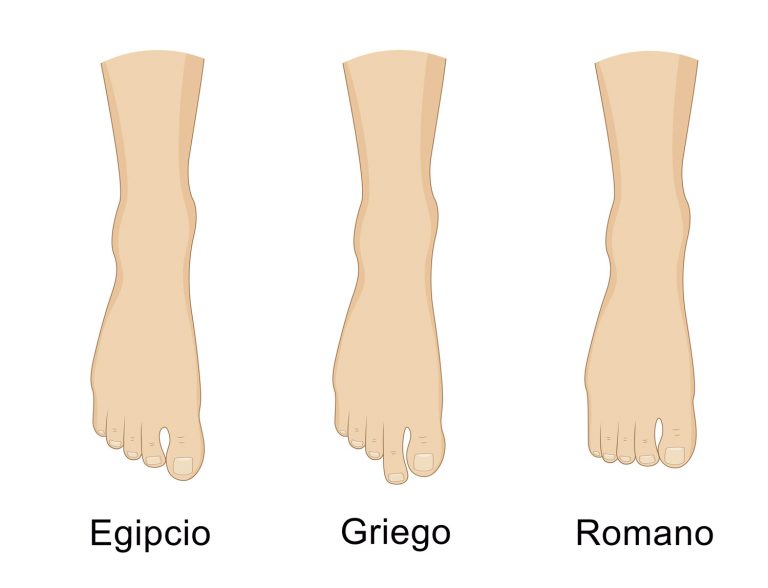 Tipos de pies, griego, romano, egipcio