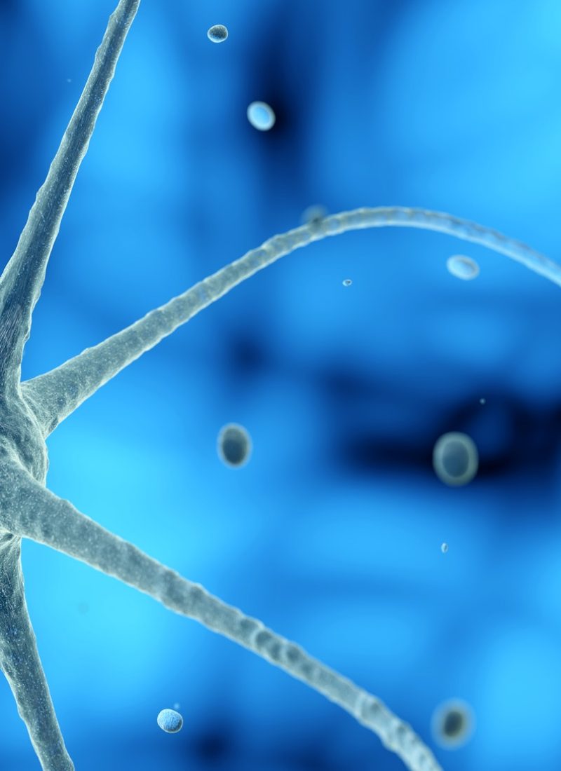nerve-cell-in-a-blue-background-3d-illustration